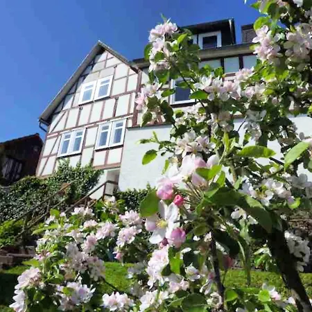 In Der Naehe Des Skigebietes Battenberg, Cleaning Included Apartment Battenberg (Eder)